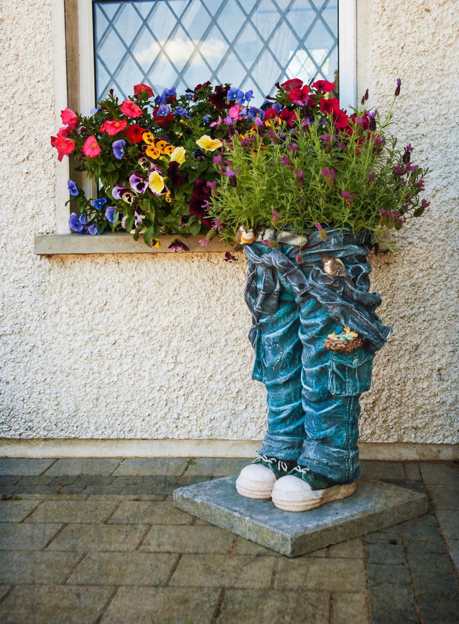 Grove House Bed & Breakfast Carlingford Exterior photo